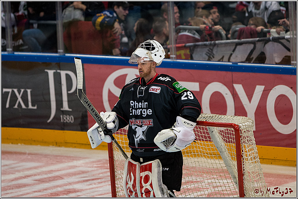 Koelner Haie - Grizzlys Wolfsburg, 16.10.2016, 16.10.2016